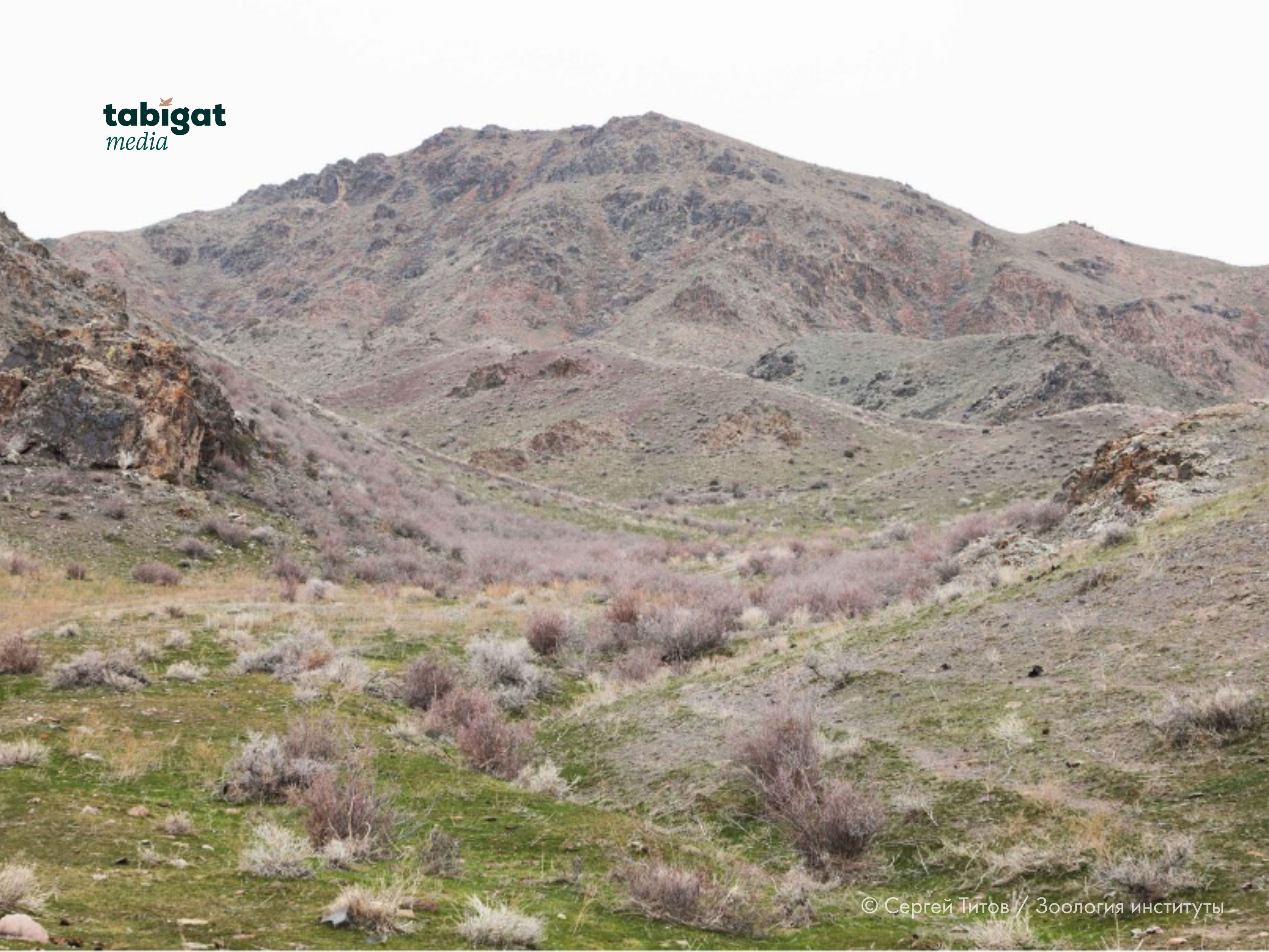 Желіде достық секс фильмдерін қараңыз